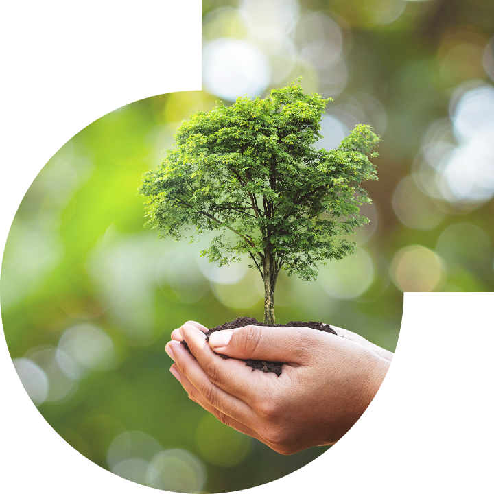 關懷人類、文化、環境與社會